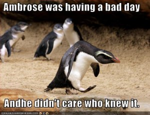 funny-pictures-penguin-has-a-bad-day[1]